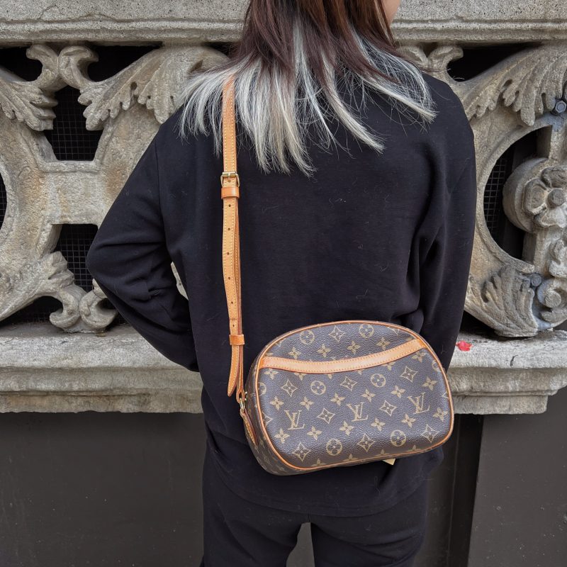 Louis Vuitton Blois Crossbody Bag TWS pop - Logoexplore - Image 5