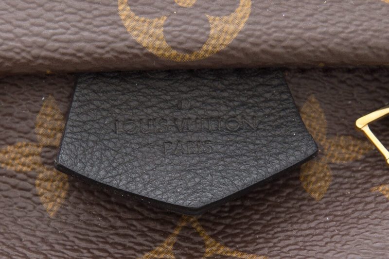 Louis Vuitton Brown Monogram Palm Springs Mini Backpack - Logoexplore - Image 6