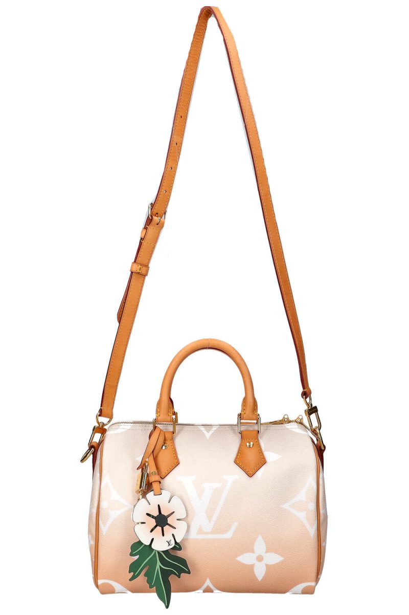 LOUIS VUITTON By the Pool Speedy 25 - Logoexplore