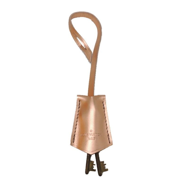 Louis Vuitton Epi Bowat Fracon Ladies Trunk Pink Gold - Logoexplore - Image 9