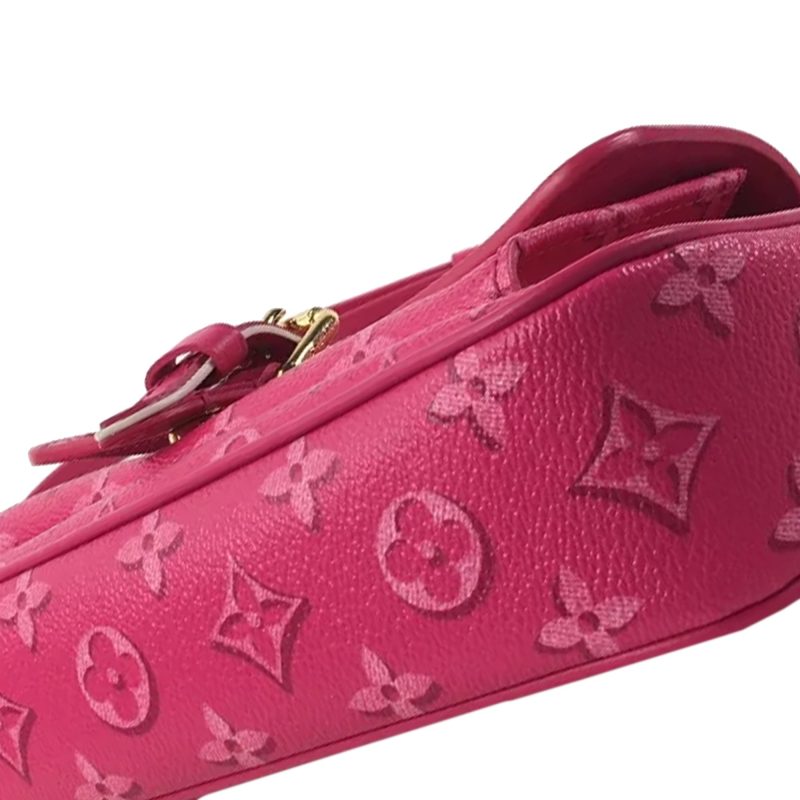 LOUIS VUITTON Fall For You Monogram Maxi Multi Pochette Accessoires Baguette - Logoexplore - Image 8