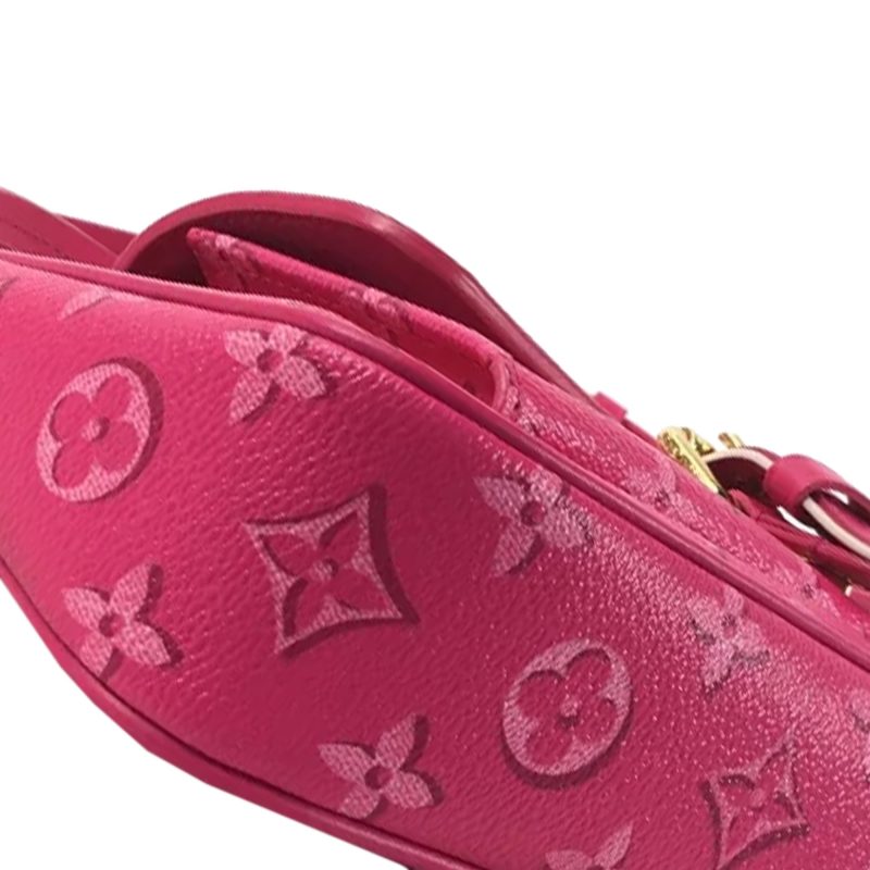 LOUIS VUITTON Fall For You Monogram Maxi Multi Pochette Accessoires Baguette - Logoexplore - Image 9