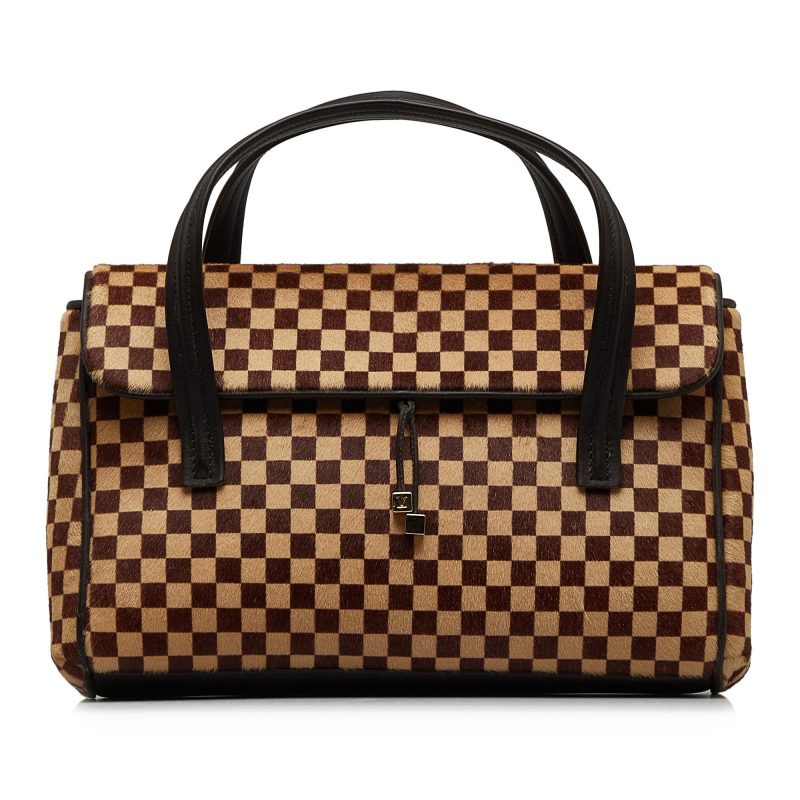 LOUIS VUITTON Damier Sauvage Lionne Handbag - Logoexplore