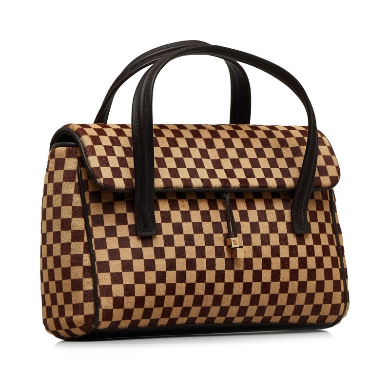 LOUIS VUITTON Damier Sauvage Lionne Handbag - Logoexplore - Image 2