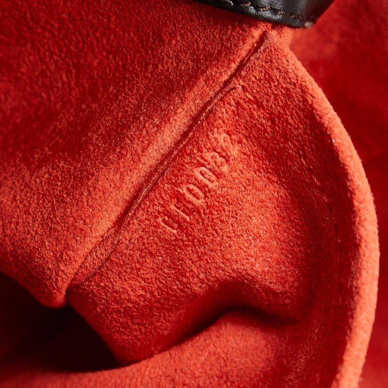 LOUIS VUITTON Damier Sauvage Lionne Handbag - Logoexplore - Image 7