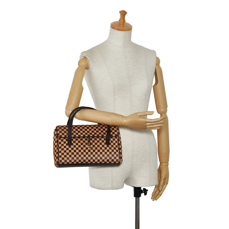 LOUIS VUITTON Damier Sauvage Lionne Handbag - Logoexplore - Image 8