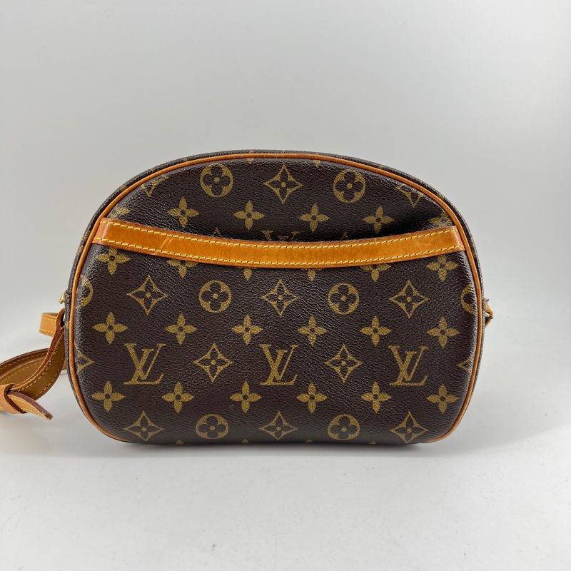 Louis Vuitton Blois Crossbody Bag TWS pop - Logoexplore - Image 7