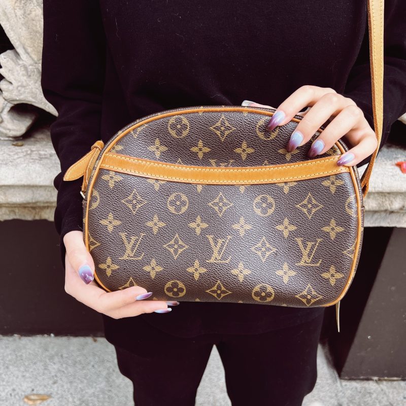 Louis Vuitton Blois Crossbody Bag TWS pop - Logoexplore - Image 4