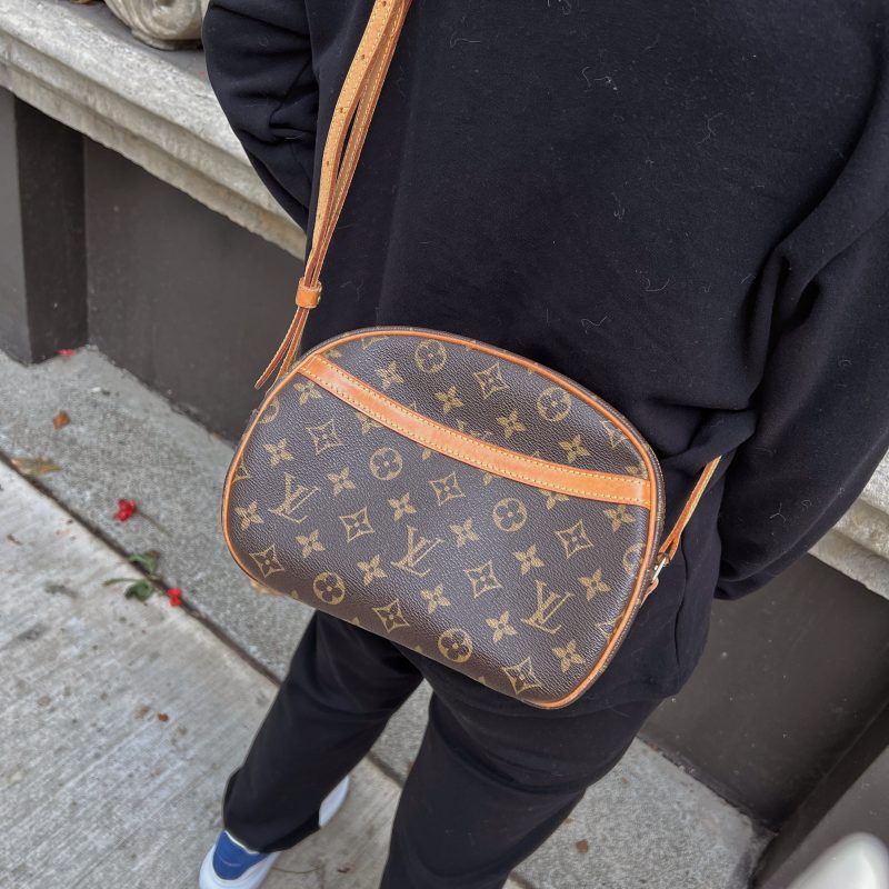 Louis Vuitton Blois Crossbody Bag TWS pop - Logoexplore - Image 6