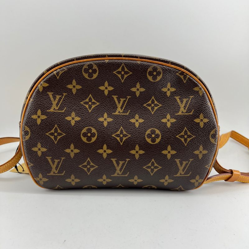 Louis Vuitton Blois Crossbody Bag TWS pop - Logoexplore - Image 8