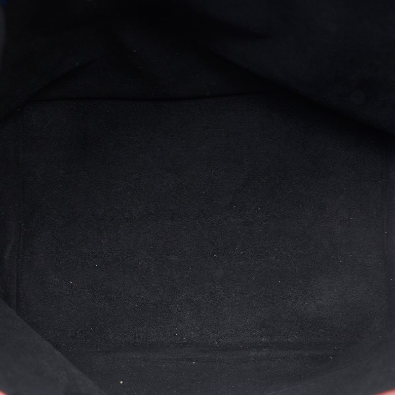 LOUIS VUITTON Epi Noe Tricolor GM Bucket Bag - Logoexplore - Image 5