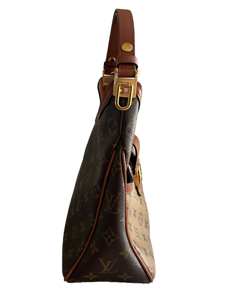 Louis Vuitton Dauphine Hobo PM Reverse Monogram - Logoexplore - Image 8