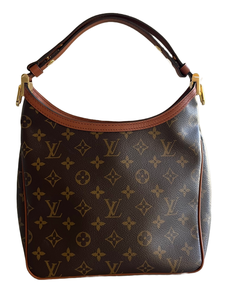 Louis Vuitton Dauphine Hobo PM Reverse Monogram - Logoexplore - Image 5