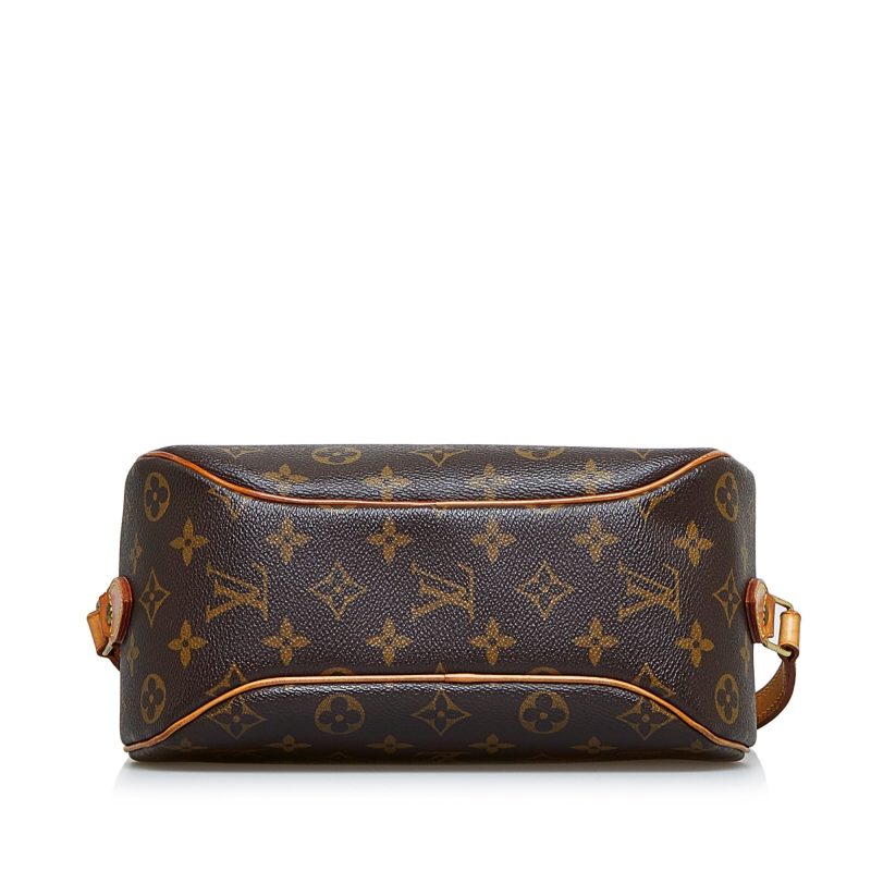 Louis Vuitton Blois Monogram Canvas - Logoexplore - Image 5