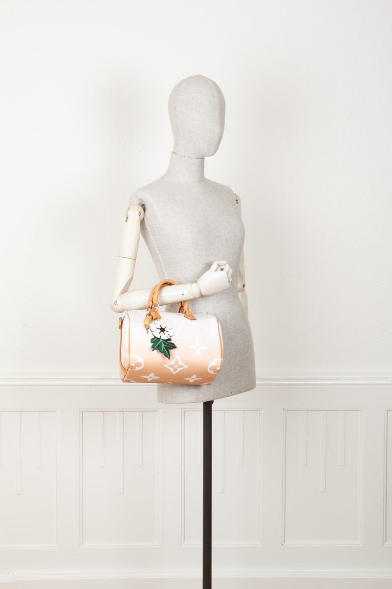 LOUIS VUITTON By the Pool Speedy 25 - Logoexplore - Image 2