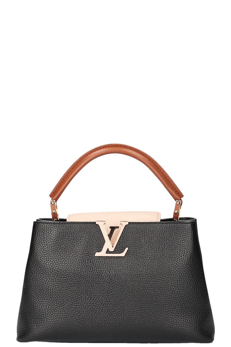 LOUIS VUITTON Capucines PM Tricolor - Logoexplore - Image 4