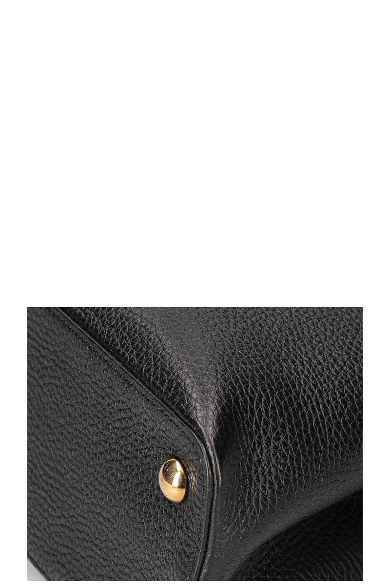 LOUIS VUITTON Capucines PM Tricolor - Logoexplore - Image 8