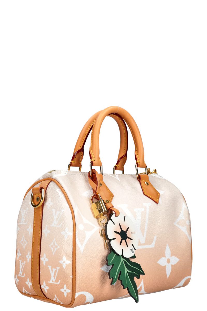 LOUIS VUITTON By the Pool Speedy 25 - Logoexplore - Image 4