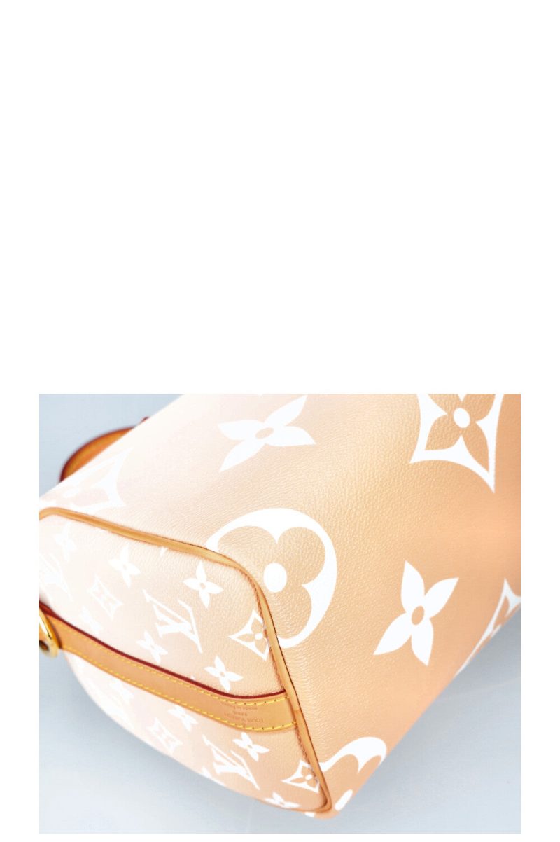 LOUIS VUITTON By the Pool Speedy 25 - Logoexplore - Image 10
