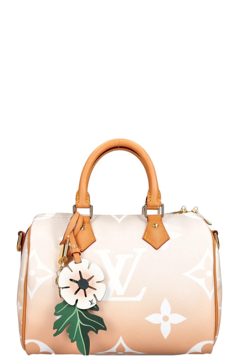 LOUIS VUITTON By the Pool Speedy 25 - Logoexplore - Image 3