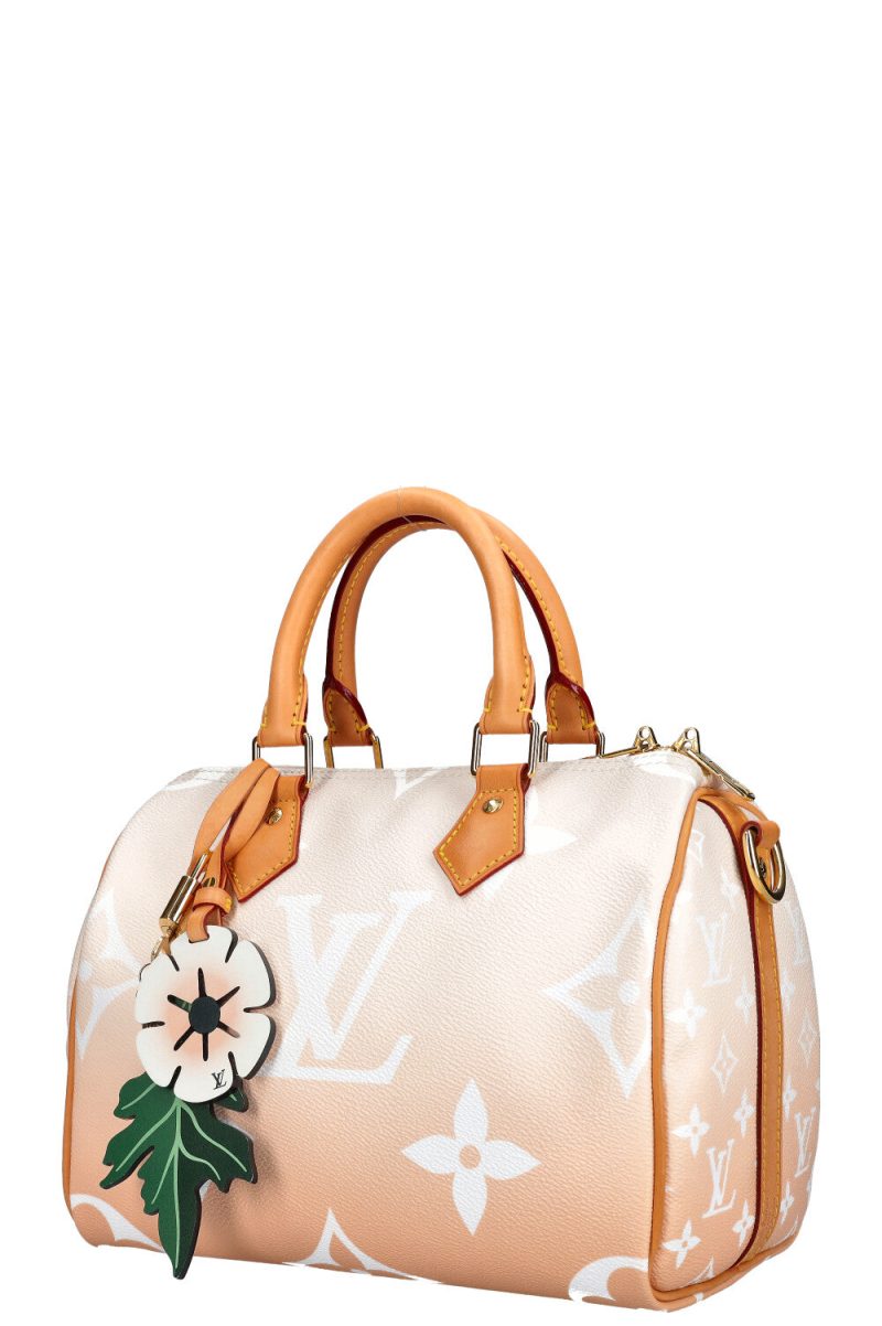 LOUIS VUITTON By the Pool Speedy 25 - Logoexplore - Image 7
