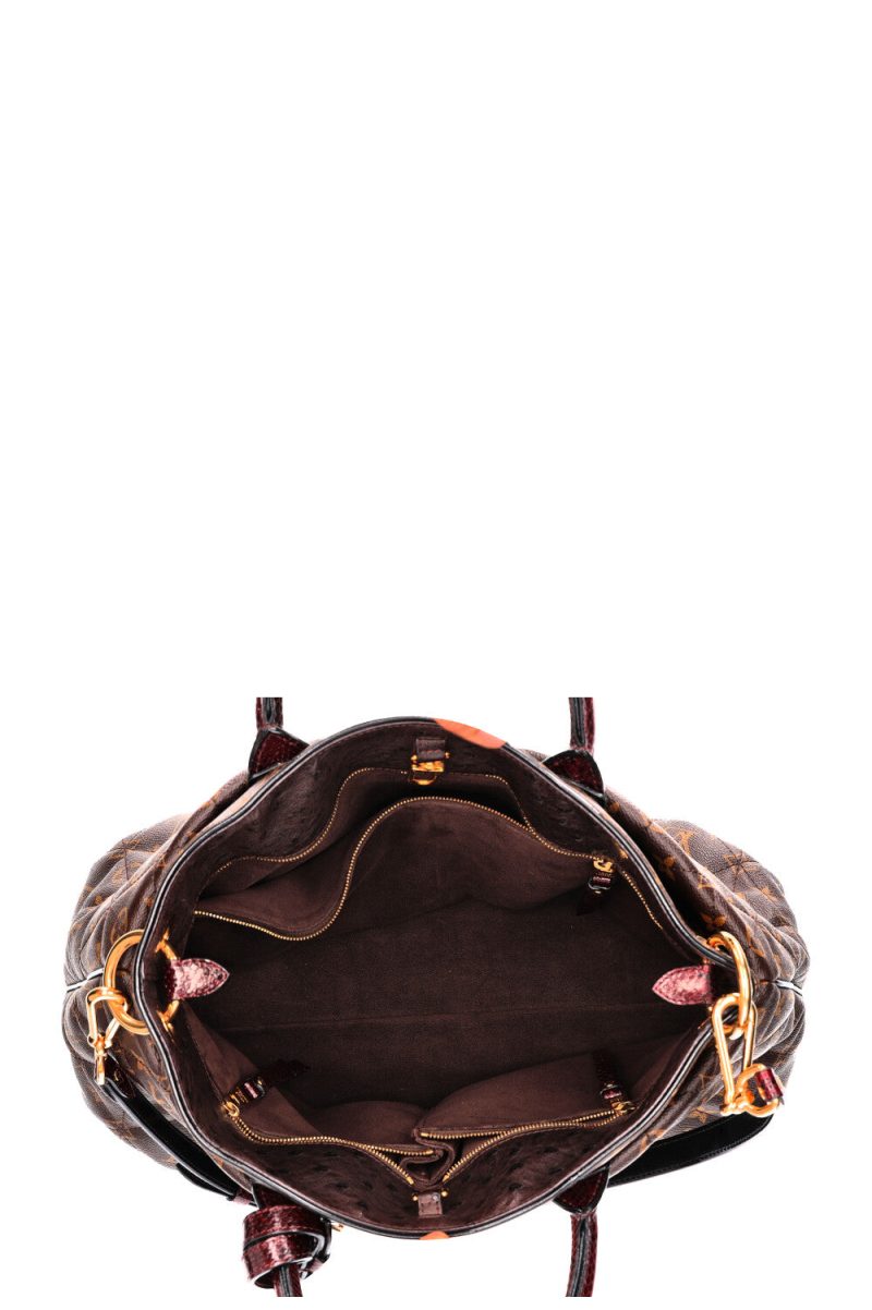 LOUIS VUITTON Etoile GM - Logoexplore - Image 9