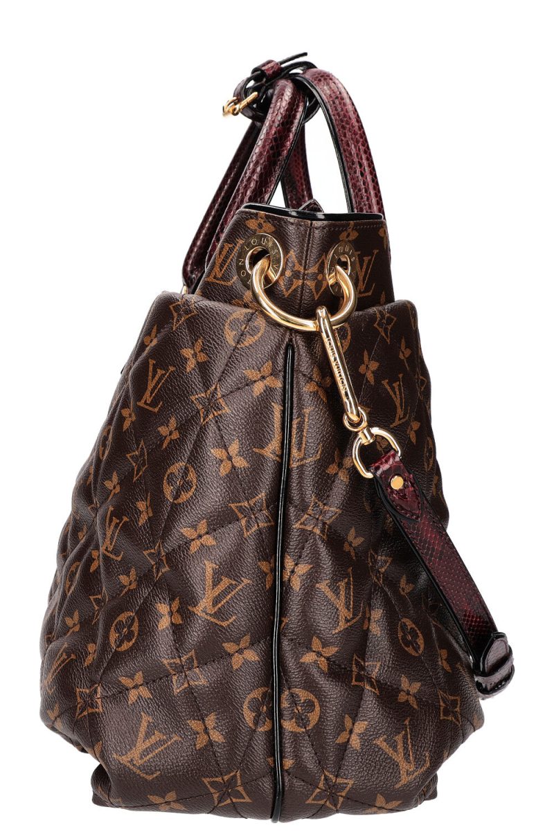 LOUIS VUITTON Etoile GM - Logoexplore - Image 7