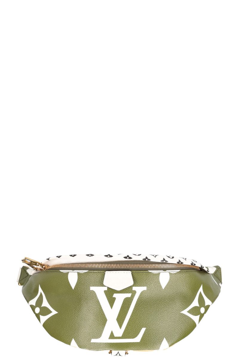 LOUIS VUITTON Bum Bag MNG Giant - Logoexplore - Image 5