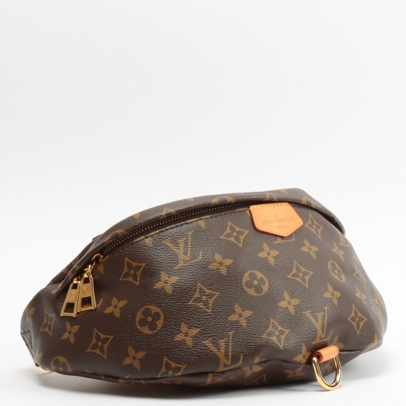 LOUIS VUITTON Bumbag Monogram - Logoexplore - Image 3