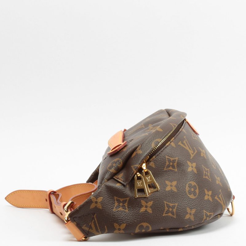 LOUIS VUITTON Bumbag Monogram - Logoexplore - Image 4