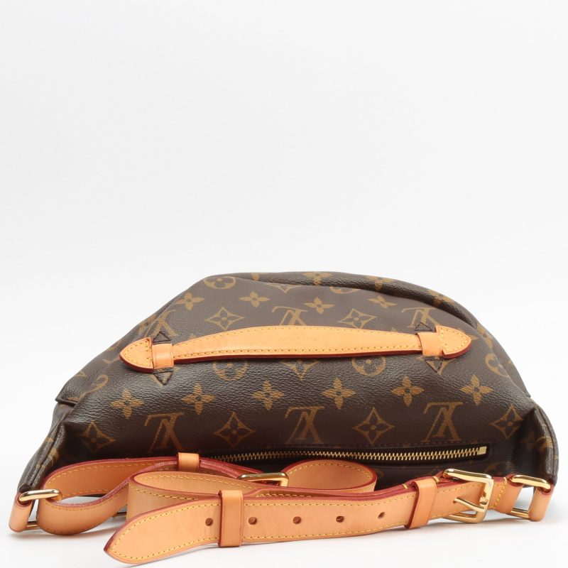 LOUIS VUITTON Bumbag Monogram - Logoexplore - Image 5