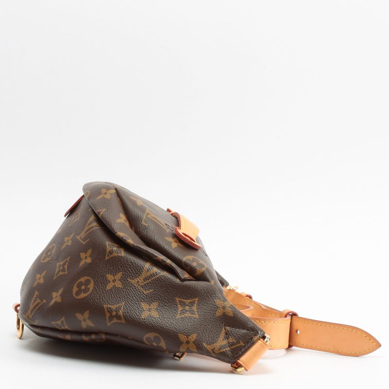 LOUIS VUITTON Bumbag Monogram - Logoexplore - Image 6
