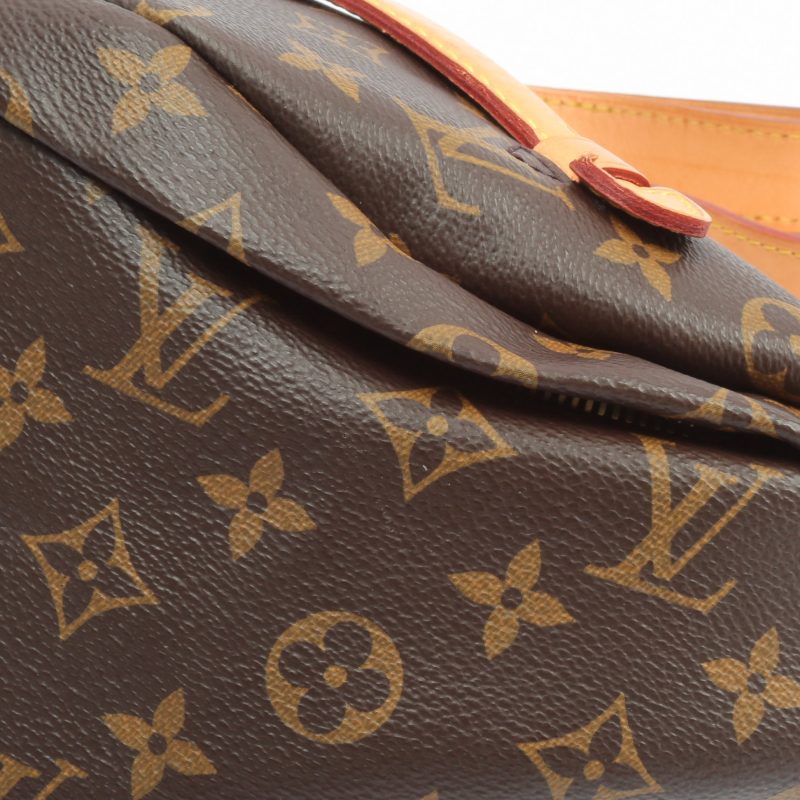 LOUIS VUITTON Bumbag Monogram - Logoexplore - Image 8