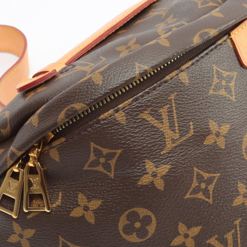 LOUIS VUITTON Bumbag Monogram - Logoexplore - Image 9