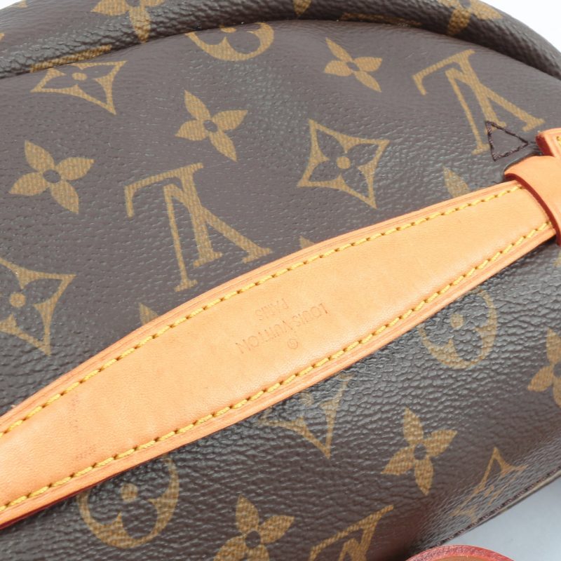 LOUIS VUITTON Bumbag Monogram - Logoexplore - Image 10