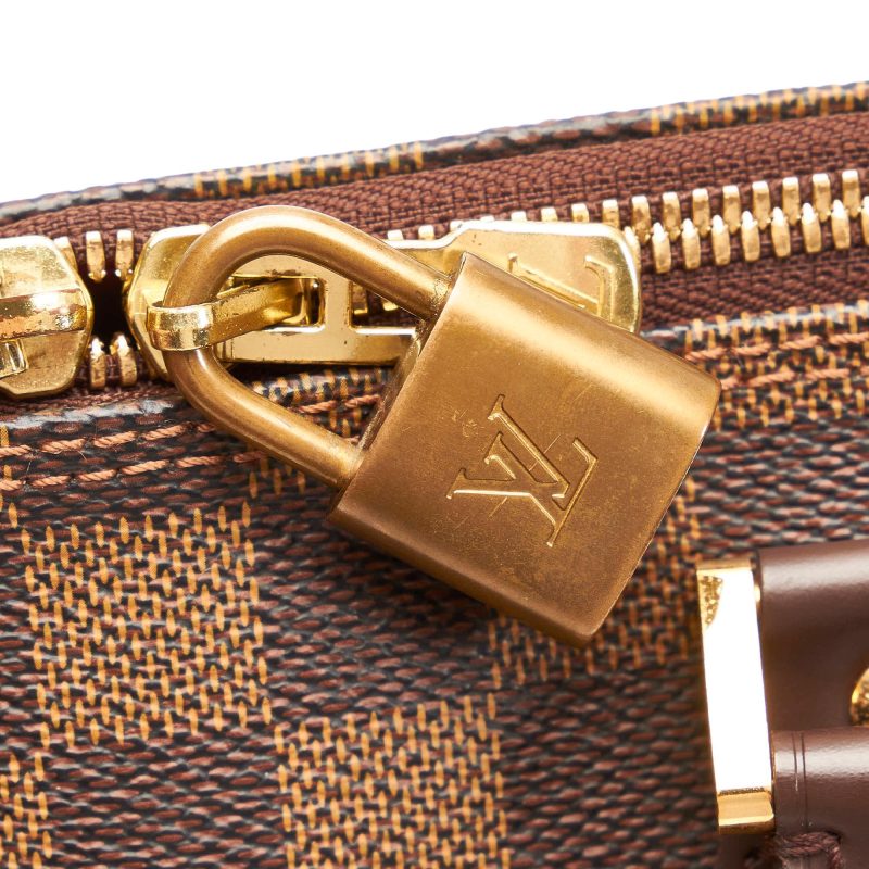 Louis Vuitton Damier Ebene Alma PM (34801) - Logoexplore - Image 9