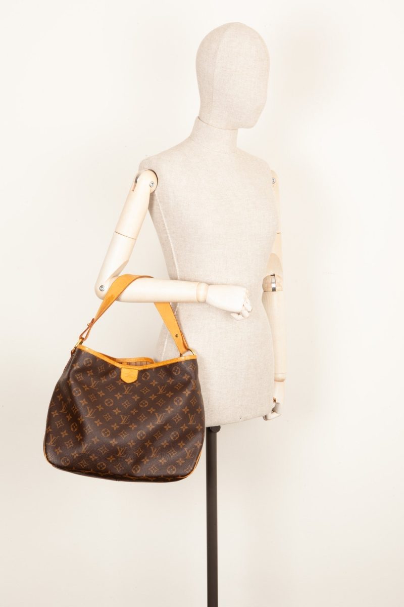 LOUIS VUITTON Delightful Bag NM MNG - Logoexplore - Image 2