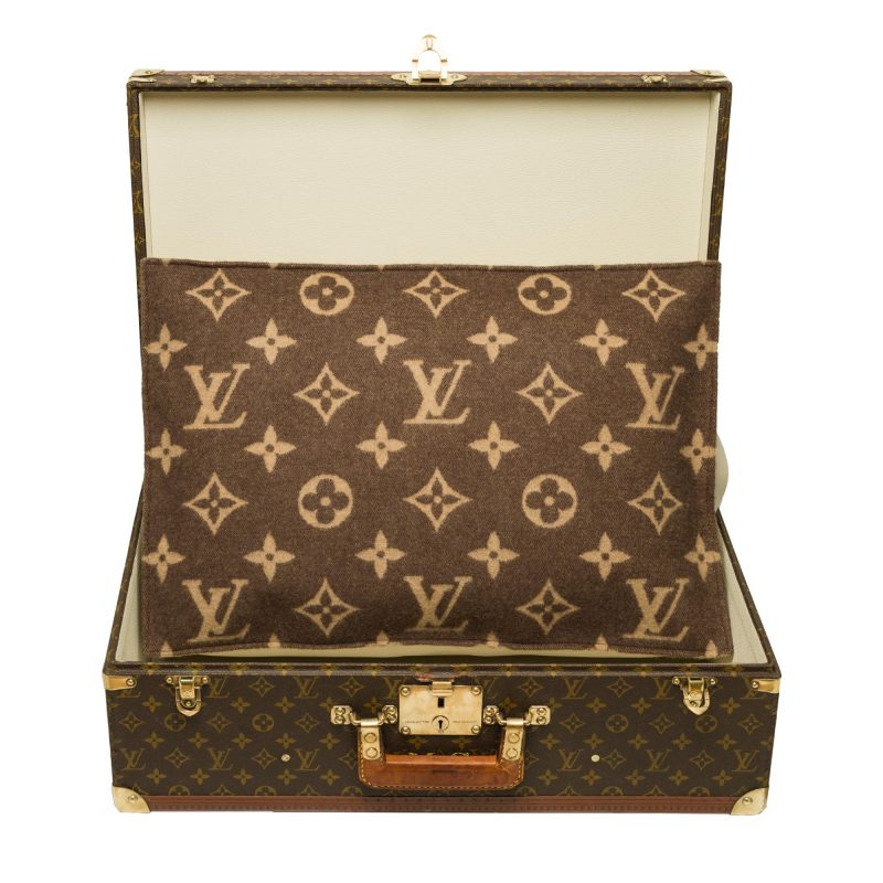 LOUIS VUITTON Customized Bisten 60 Dog Kennel for small dog in brown canvas - Logoexplore - Image 4
