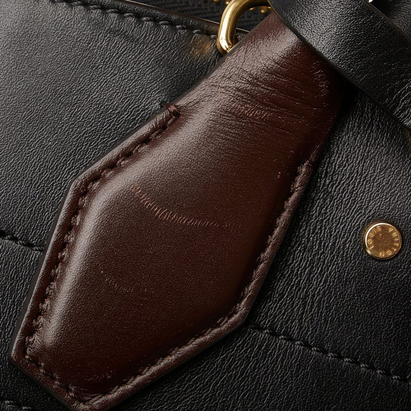 LOUIS VUITTON City Steamer PM Satchel - Logoexplore - Image 9