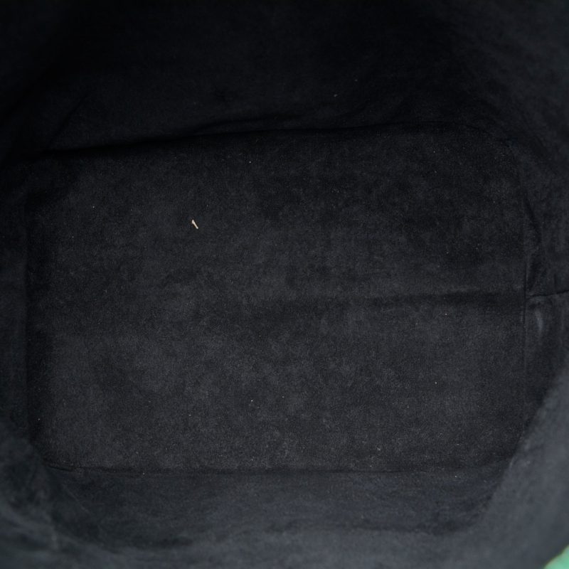 LOUIS VUITTON Epi Tricolor Noe GM Bucket Bag - Logoexplore - Image 5