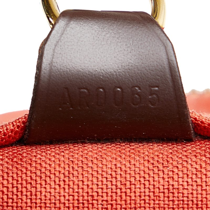 LOUIS VUITTON Damier Ebene Greenwich PM Travel Bag - Logoexplore - Image 7
