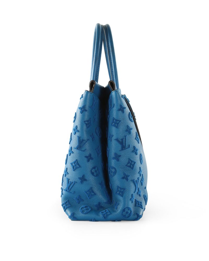 LOUIS VUITTON Blue Leather W GM Bag - Logoexplore - Image 5