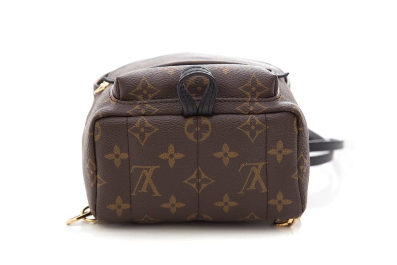 Louis Vuitton Brown Monogram Palm Springs Mini Backpack - Logoexplore - Image 5