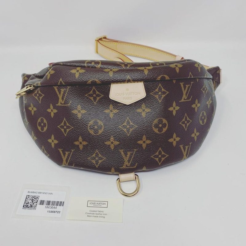 LOUIS VUITTON Bumbag - Logoexplore