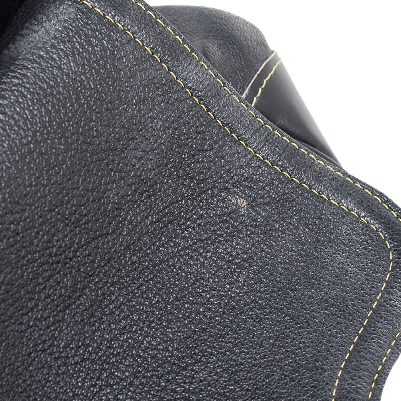 Louis Vuitton Black Suhali Leather L'Absolu De Voyage Bag - Logoexplore - Image 7