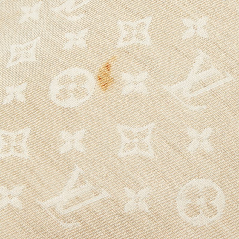 LOUIS VUITTON Dune Monogram Mini Lin Canvas Bucket PM Bag - Logoexplore - Image 6