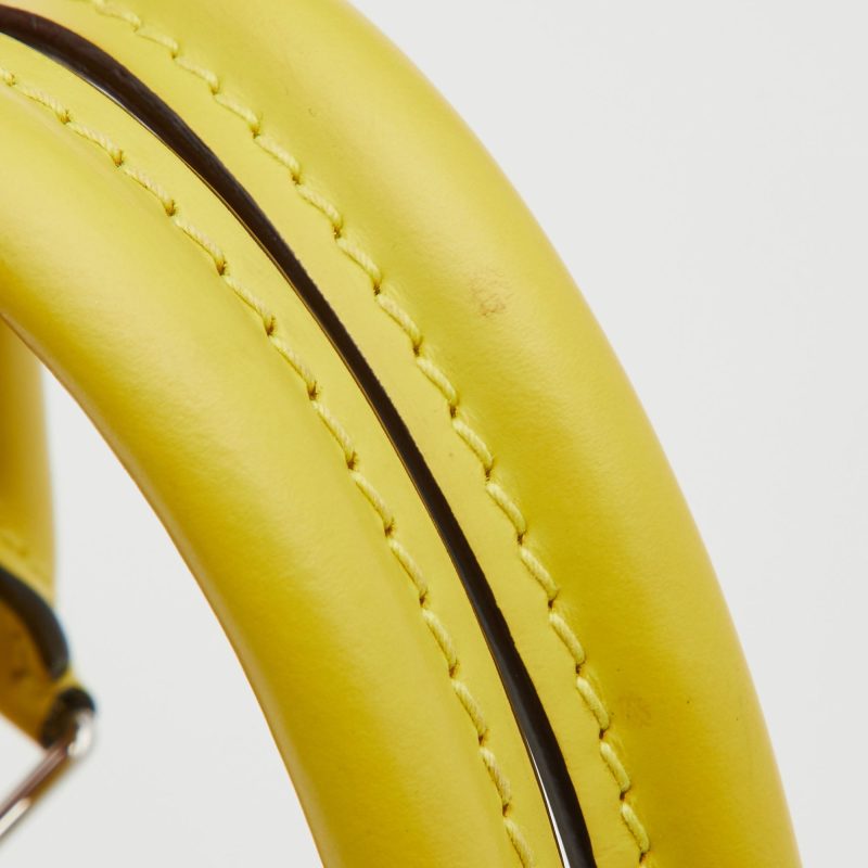 LOUIS VUITTON Citron Epi Leather Alma PM Bag - Logoexplore - Image 5