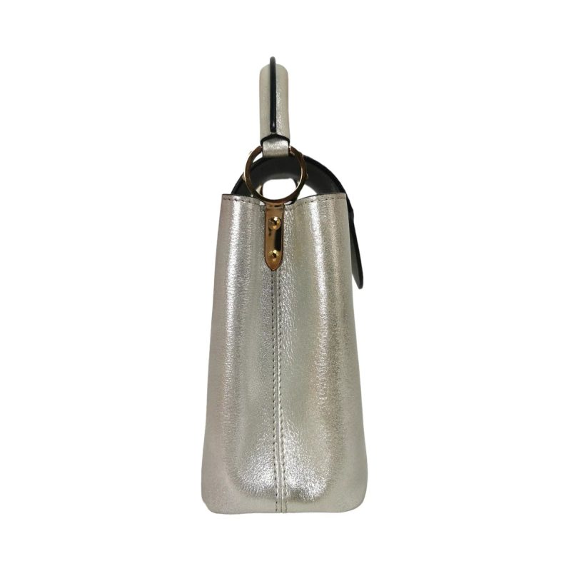 Louis Vuitton Capucines BB Silver - Logoexplore - Image 5